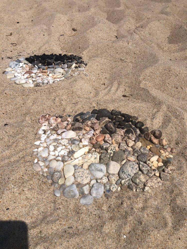 A picture showing 2 spots in sand that go from dark to light using various shells and rocks. 