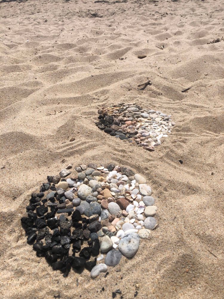 A picture showing 2 spots in sand that go from dark to light using various shells and rocks. 