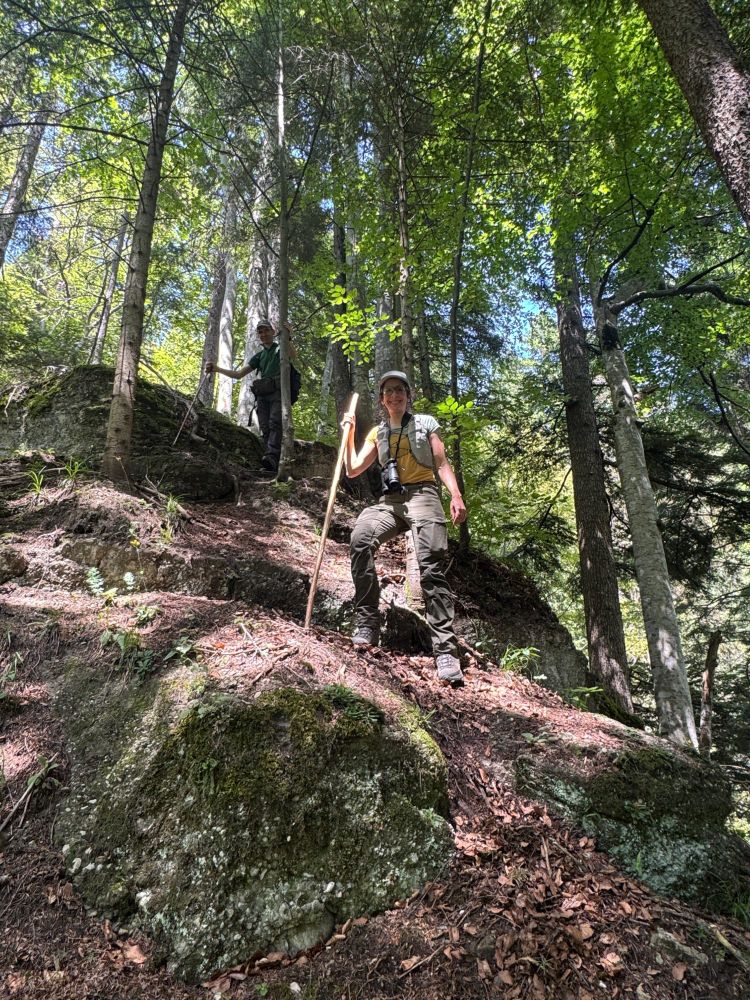 Two people descending a steep rocky slope in a forest