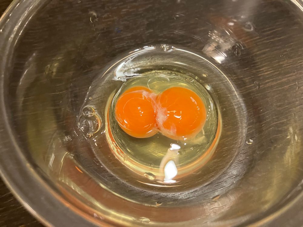 透明のボウルに双子のたまご
２つの黄身がしっかりとくっついている
