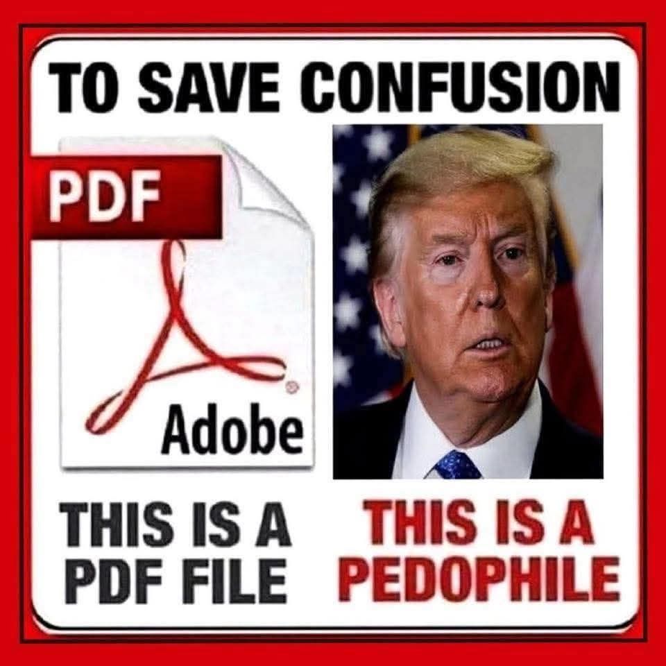 On the left, you'll see a PDF file
On the right, a pedophile 