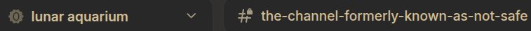 screenshot of my discord server, lunar aquarium. shows the name for the dedicated nsfw channel, which is "the-channel-formerly-known-as-not-safe"