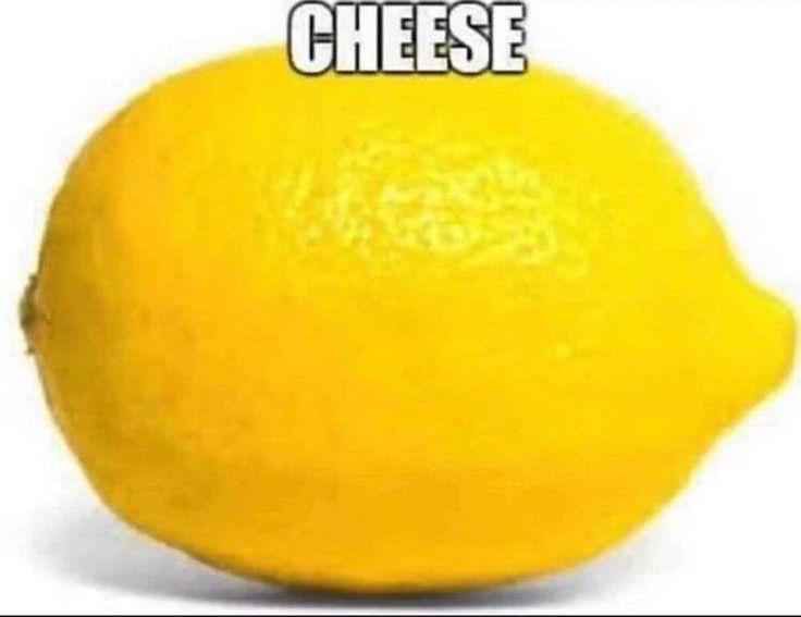 cheese