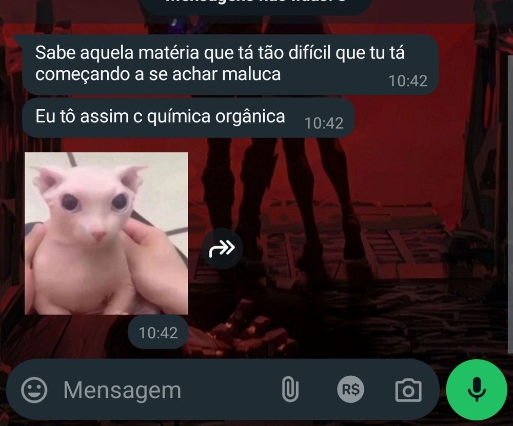 Print de whatsapp com as seguintes mensagens enviadas pela mesma pessoa "Sabe aquela matéria que tá tão difícil que tu tá começando a se achar maluca" "Eu tô assim c química orgânica" *figurinha de gato*