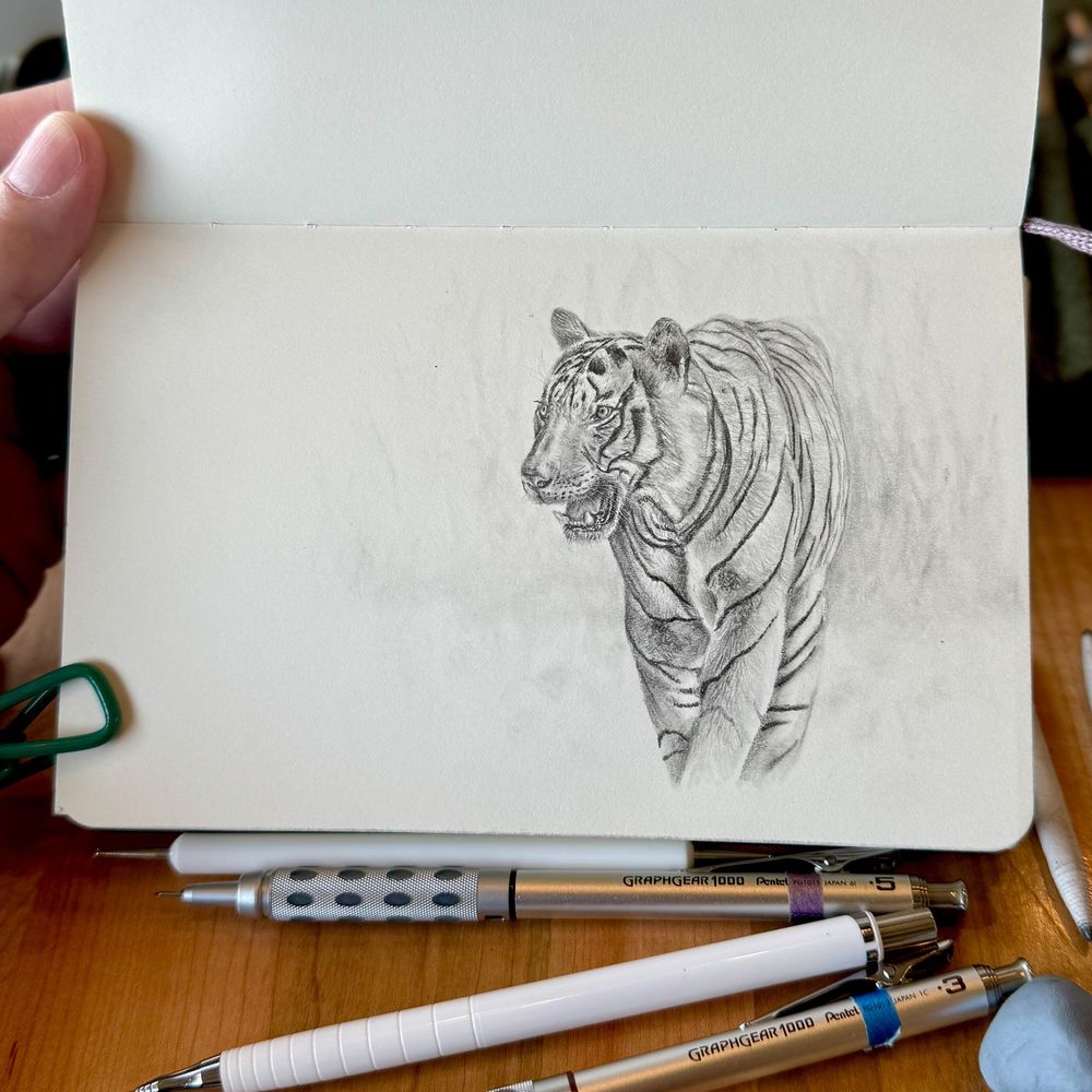 Realistic graphite sketch of a Bengal tiger mid-step, mouth slightly open in a soft snarl. Fine pencil shading captures its stripes and muscular form. Drawn in a sketchbook with mechanical pencils visible on the table.