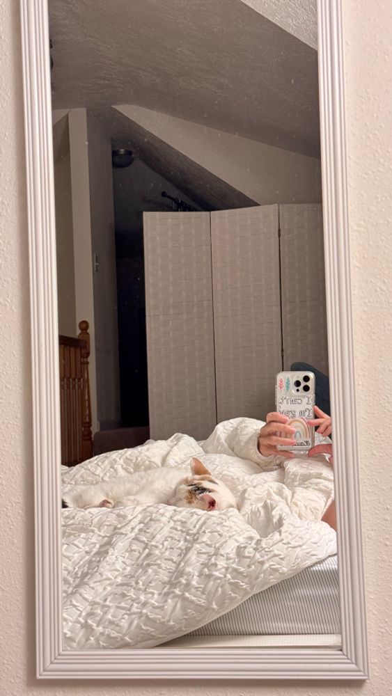 White cat sleeping in a white bed