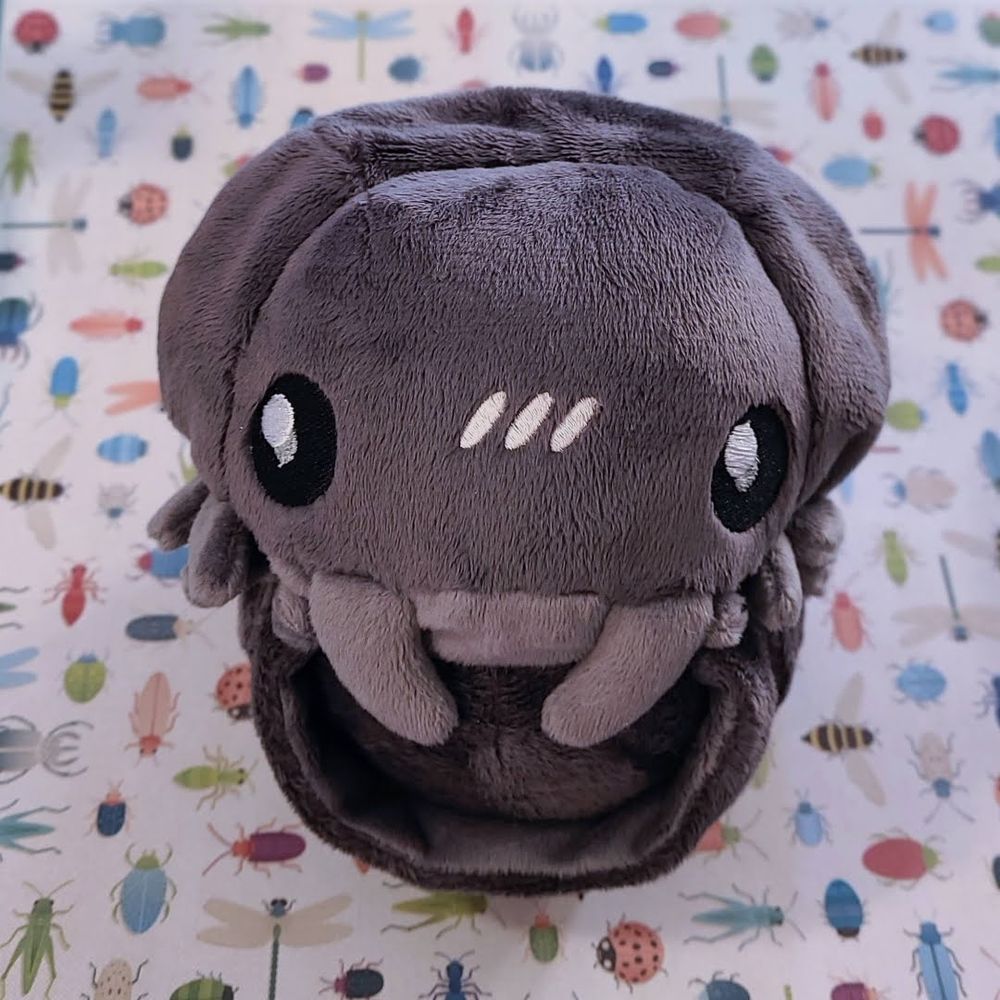 Individually made plush grey isopod curled up 