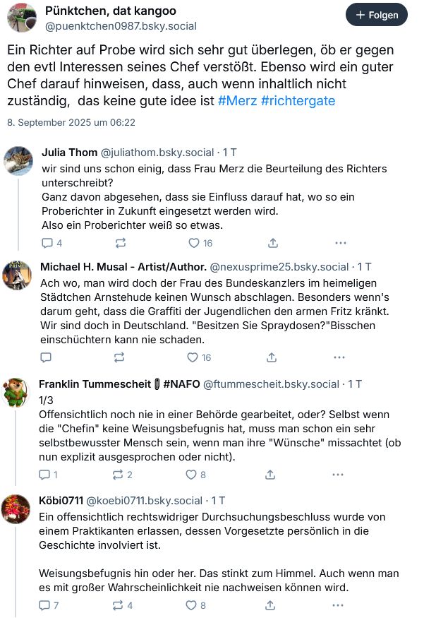 5 Skeets zum Thema, in denen Frau Merz mindestens mittelbar Einmischung vorgeworfen wird.