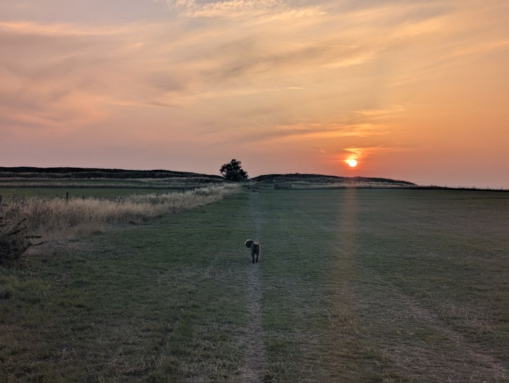 Summer evening sunset over Barbury Castle Hillfort, N Wiltshire, August 2025