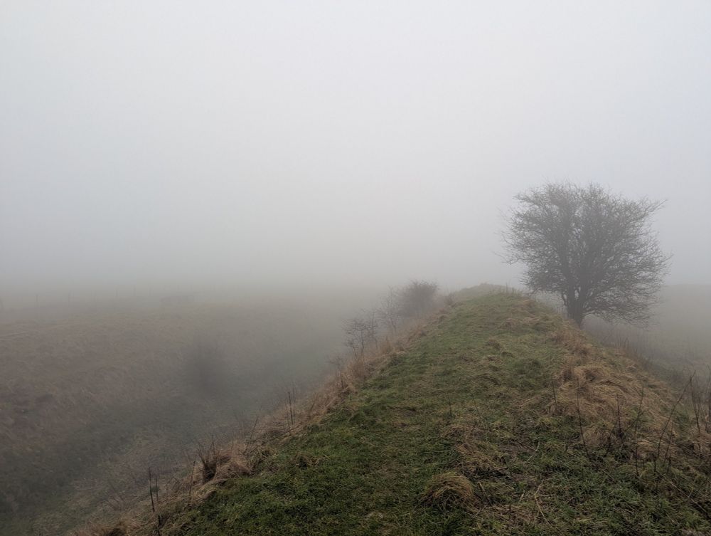 Very foggy view of not much from Liddington Castle Hillfort, Wiltshire Sun 9th Feb 2025