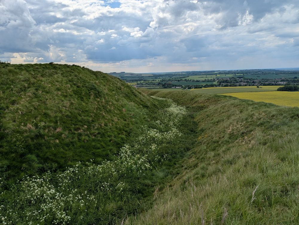 Cow parsley growing in the ditches of Liddington Castle Hillfort, N Wiltshire. May 2025