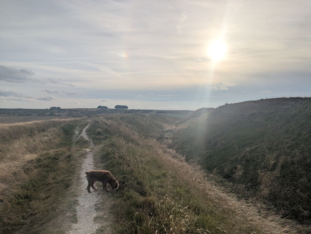 Sunny Sunday evening on Barbury Castle Aug 2025