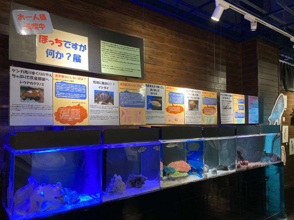 個人的にめちゃ良かったぼっち展（水槽内で共存できない困ったお魚ちゃんの展示！理由も書いててすごくおもしろい）