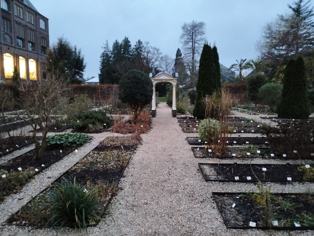 Gardens close to the conference building in Leiden