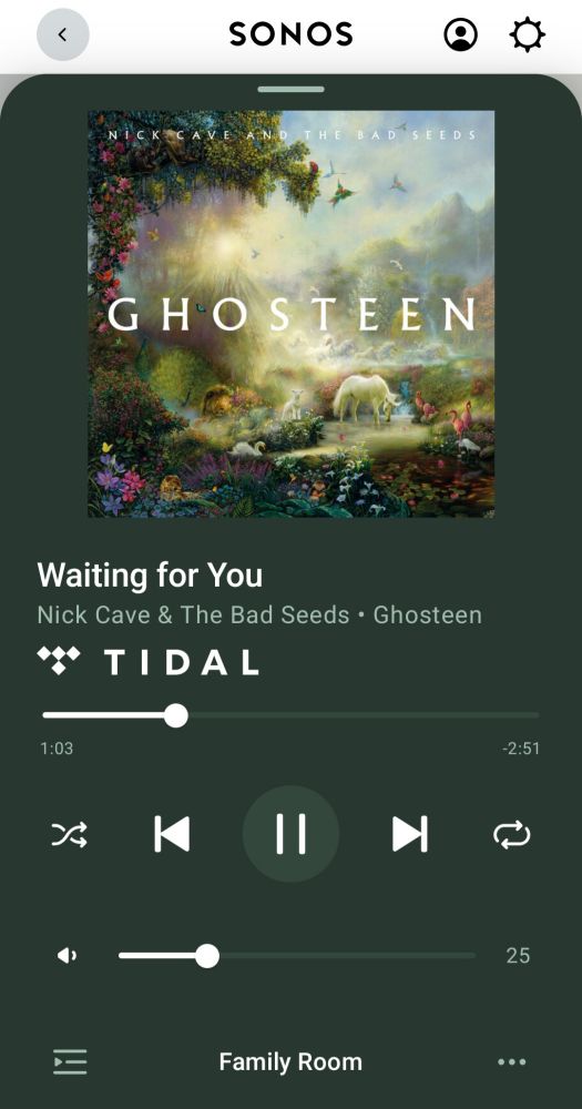 Nick Cave & The Bad Seeds - Waiting for You