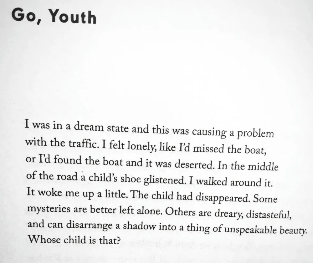 Go, Youth

I was in a dream state and this was causing a problem
with the traffic. I felt lonely, like I'd missed the boat,
or I'd found the boat and it was deserted. In the middle
of the road a child's shoe glistened. I walked around it.
It woke me up a little. The child had disappeared. Some
mysteries are better left alone. Others are dreary, distasteful,
and can disarrange a shadow into a thing of unspeakable beauty.
Whose child is that?

