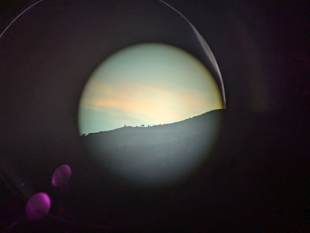 Badly digi-binned photo of red deer standing on the horizon at dusk