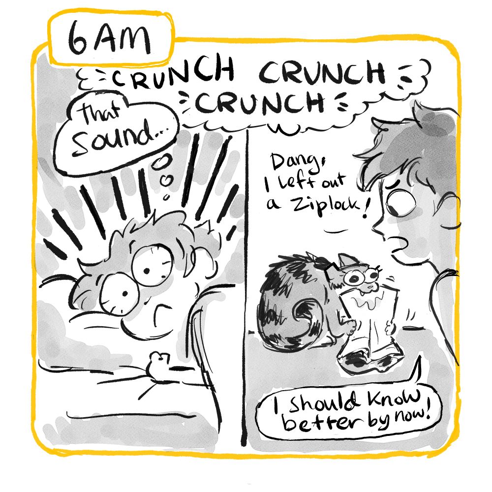 6am: "CRUNCH" sound effects wake up a lady in bed in the first panel. She thinks "That sound..." In the second panel, the lady finds her cat chewing on a plastic bag. "Dang, I left out a ziplock! I should know better by now!"