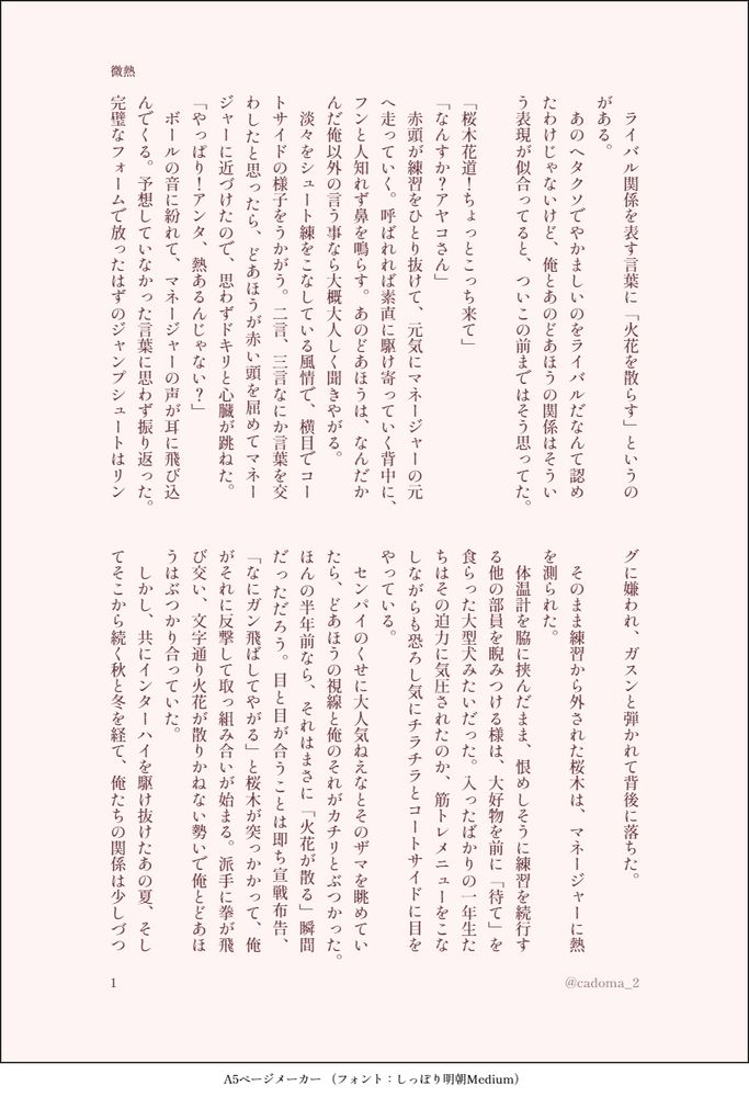 ライバル関係を表す言葉に「火花を散らす」というのがある。
　あのヘタクソでやかましいのをライバルだなんて認めたわけじゃないけど、俺とあのどあほうの関係はそういう表現が似合ってると、ついこの前まではそう思ってた。

「桜木花道！ちょっとこっち来て」
「なんすか？アヤコさん」
　赤頭が練習をひとり抜けて、元気にマネージャーの元へ走っていく。呼ばれれば素直に駆け寄っていく背中に、フンと人知れず鼻を鳴らす。あのどあほうは、なんだかんだ俺以外の言う事なら大概大人しく聞きやがる。
　淡々をシュート練をこなしている風情で、横目でコートサイドの様子をうかがう。二言、三言なにか言葉を交わしたと思ったら、どあほうが赤い頭を屈めてマネージャーに近づけたので、思わずドキリと心臓が跳ねた。
「やっぱり！アンタ、熱あるんじゃない？」
　ボールの音に紛れて、マネージャーの声が耳に飛び込んでくる。予想していなかった言葉に思わず振り返った。完璧なフォームで放ったはずのジャンプシュートはリングに嫌われ、ガスンと弾かれて背後に落ちた。
　
　そのまま練習から外された桜木は、マネージャーに熱を測られた。
　体温計を脇に挟んだまま、恨めしそうに練習を続行する他の部員を睨みつける様は、大好物を前に「待て」を食らった大型犬みたいだった。入ったばかりの一年生たちはその迫力に気圧されたのか、筋トレメニューをこなしながらも恐ろし気にチラチラとコートサイドに目をやっている。
　センパイのくせに大人気ねえなとそのザマを眺めていたら、どあほうの視線と俺のそれがカチリとぶつかった。ほんの半年前なら、それはまさに「火花が散る」瞬間だっただろう。目と目が合うことは即ち宣戦布告、「なにガン飛ばしてやがる」と桜木が突っかかって、俺がそれに反撃して取っ組み合いが始まる。派手に拳が飛び交い、文字通り火花が散りかねない勢いで俺とどあほうはぶつかり合っていた。
　しかし、共にインターハイを駆け抜けたあの夏、そしてそこから続く秋と冬を経て、俺たちの関係は少しづつ変化した。