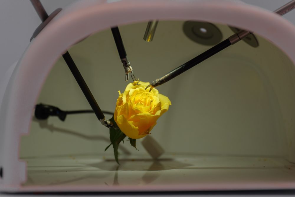 House GOP leaders seek government probe, restrictions on Chinese-made tech