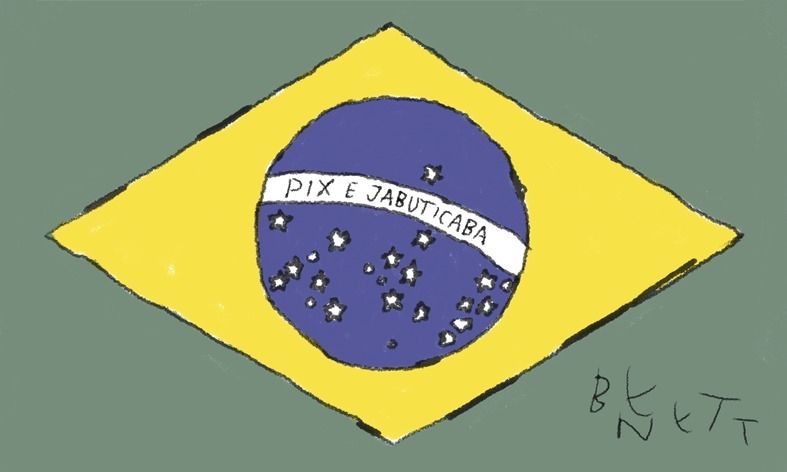 Bandeira do Brasil com lema Pix e Jabuticaba