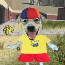 dog with propeller hat and minions shirt holding a lolipop 