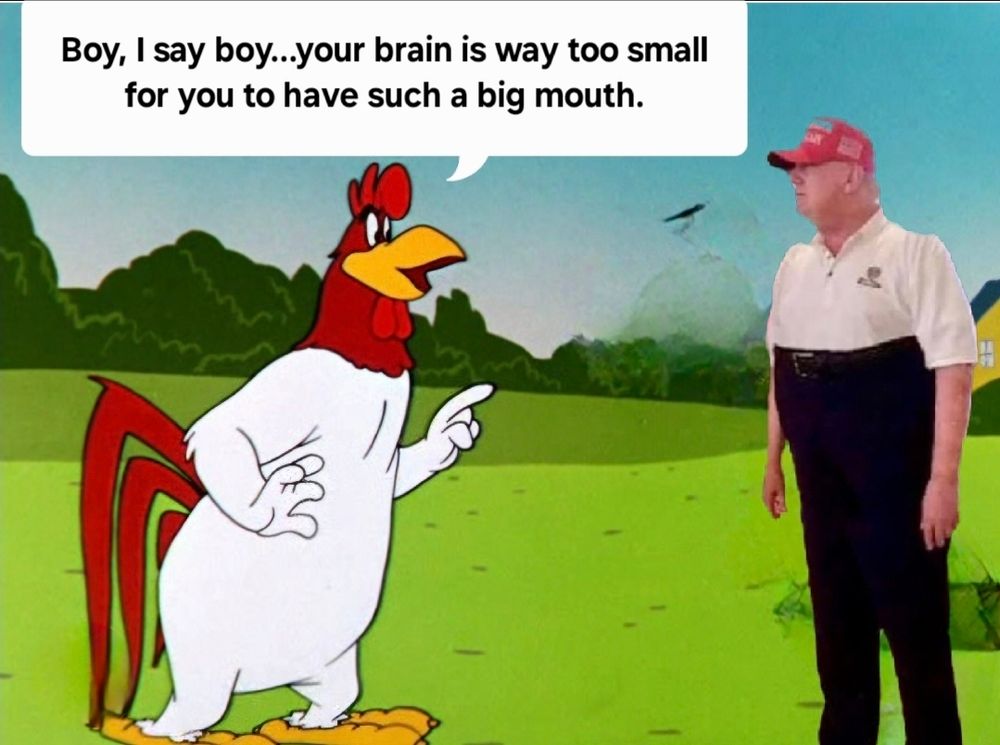 Comment image