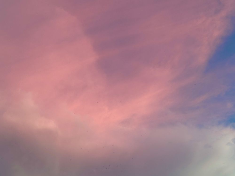 Pink sunset, Austin, Texas, August 2025
