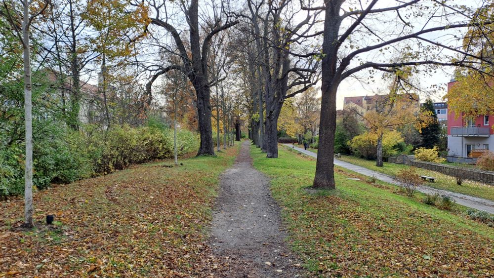 Bautzen - Ziegelwall - eine alte Wehranlage - Aufnahme - 31.10.2025