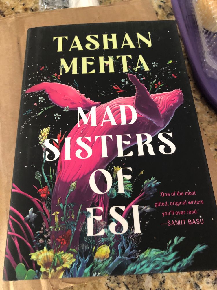 Mad Sisters of Esi by Tashan Mehta