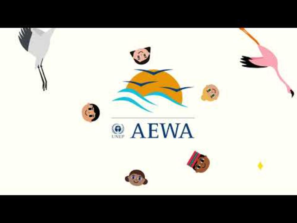 Celebrating 30 Years of AEWA: The African-Eurasian Waterbird Agreement