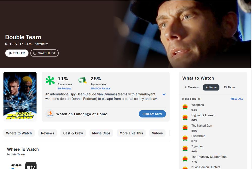 Screenshot from the movie "Double Team"