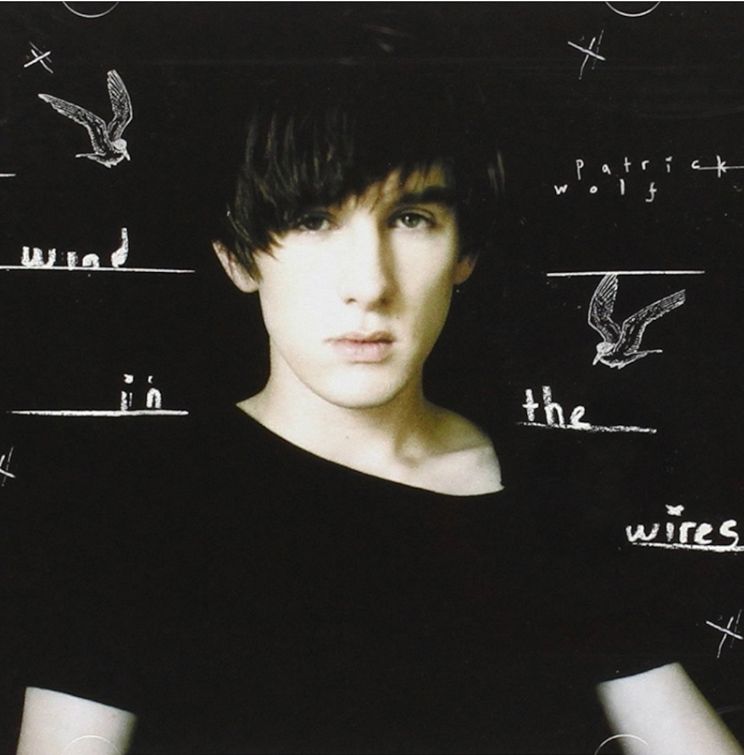 Patrick Wolf - Wind in the Wires