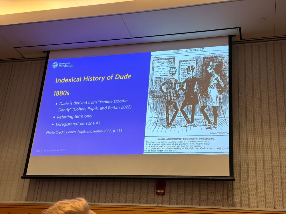 Dude originally an insult derived from “yankee doodle dandy” 