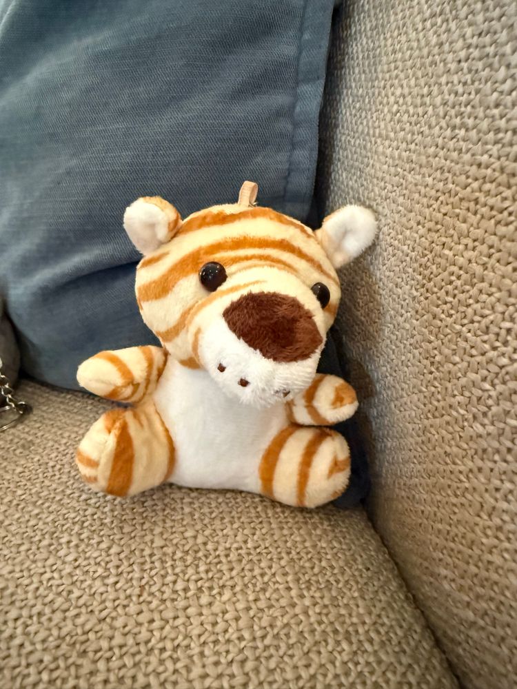 A small tiger stuffy sitting on the couch 