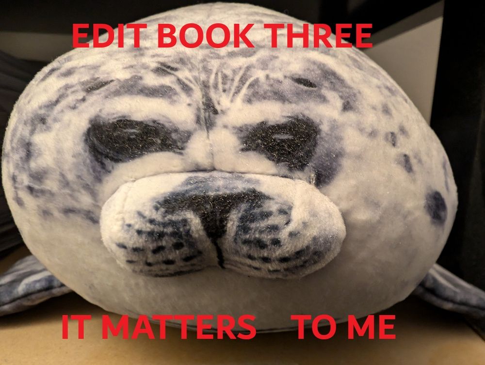 Baby seal plushie face with the words "Edit book three" along the top in red all caps, and "It Matters   To me" at the bottom in red all caps.