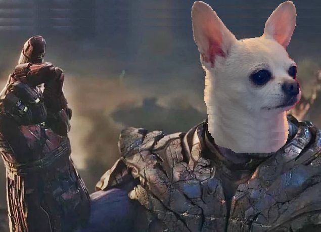The alien villain of the Avengers movies, Thanos, snapping his finger, but his head is replaced with that of Steve the dog