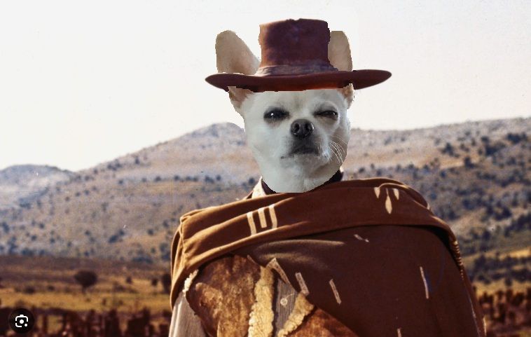 A man standing in dusty clothes and poncho and cowboy hat, but with a dog's face ("Steve" the dog from the original post) - It is Steve's face superimposed over Clint Eastwood's face from the movie, The Good, The Bad, and The Ugly