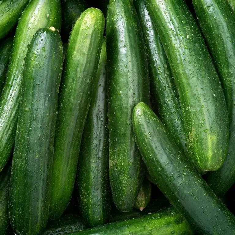 Comment image