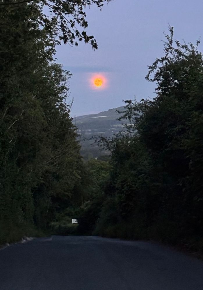 The Moon, quite orange, with the “man in the moon” features visible, above the narrow New Road between Ringmer and Glyndebourne. Overgrown hedges rise up on either side and Firle Beacon is in the distance. 