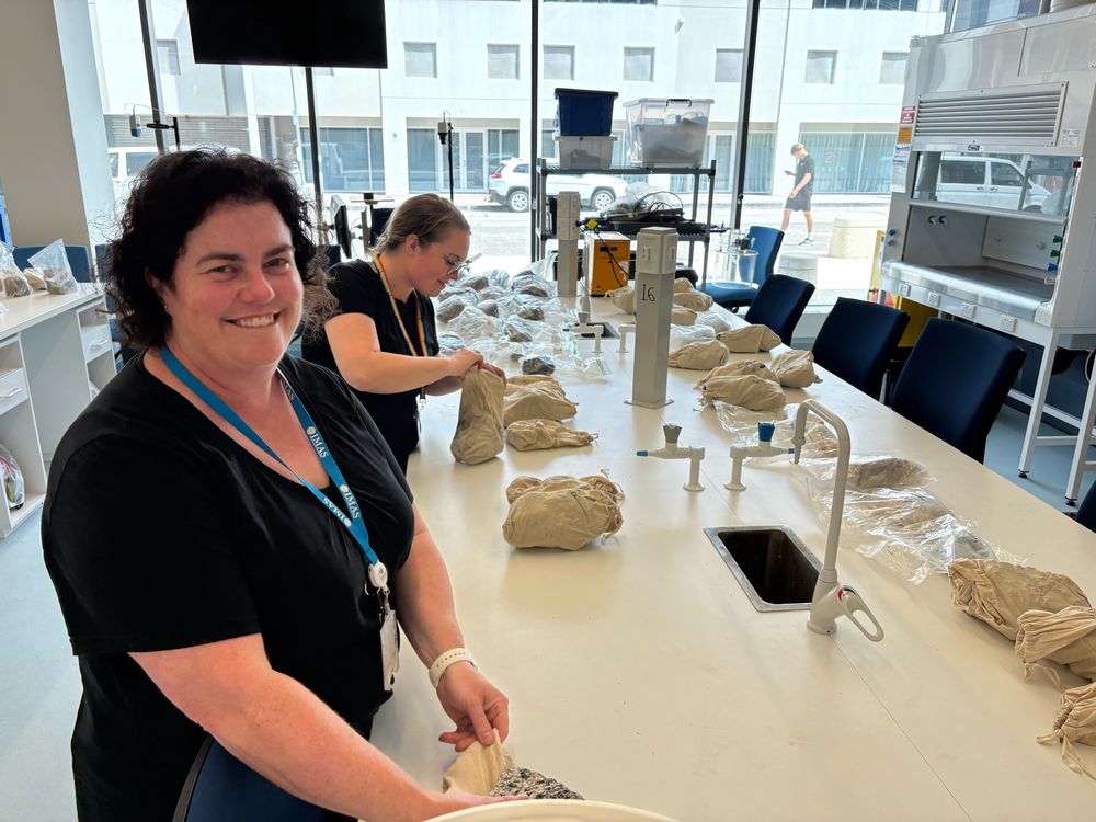 Geologists with Antarctic rock samples