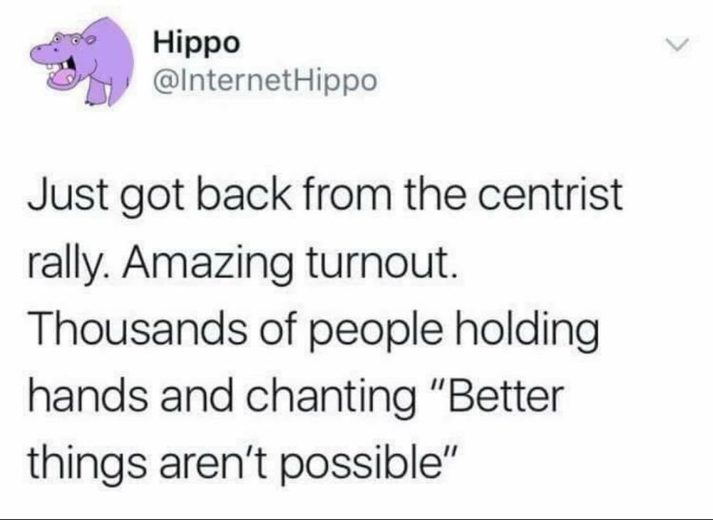 Classic @InternetHippo tweet:
Just got back from the centrist rally. Amazing turnout. Thousands of people holding hands and chanting ‘Better things aren't possible’.