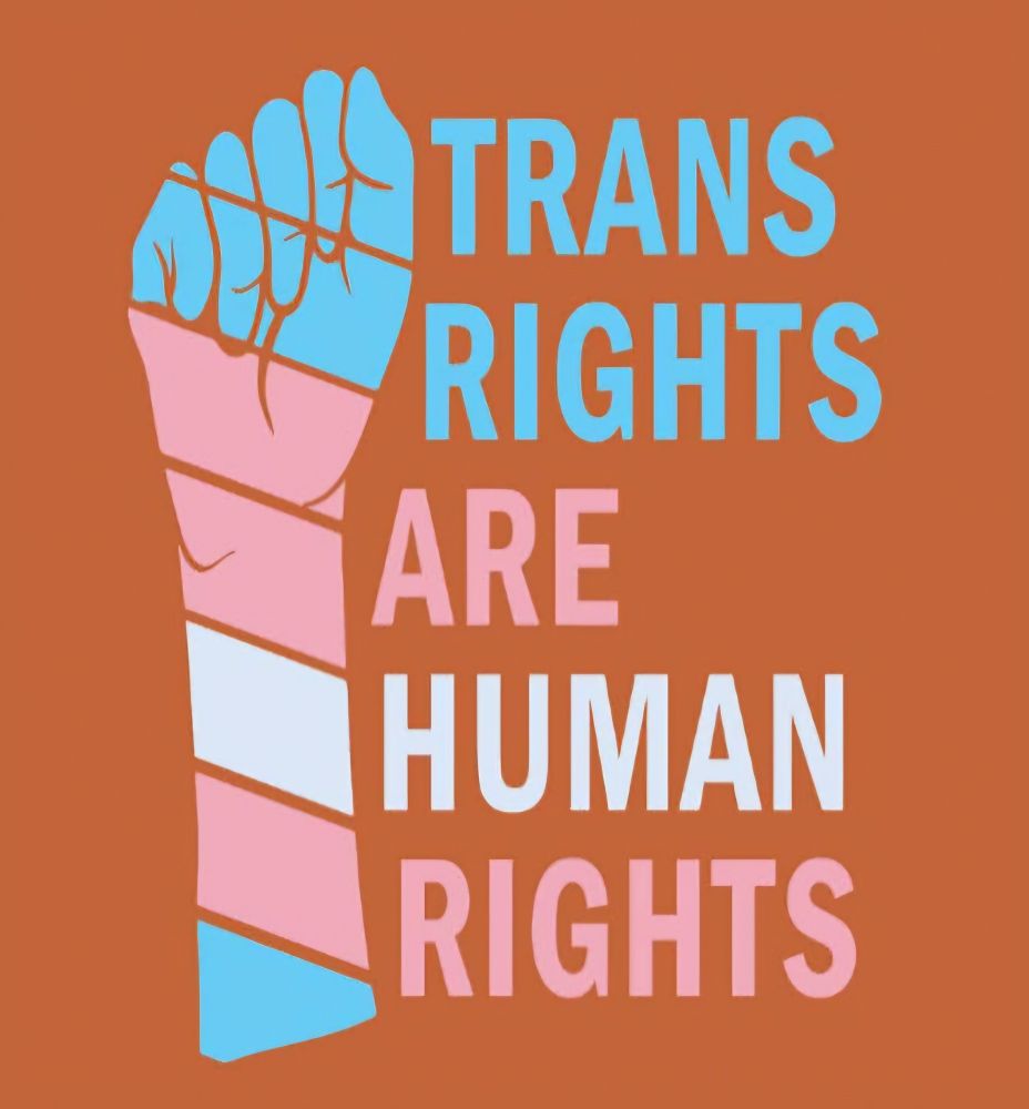 Trans rights are human rights 
Text in the colours of the trans flags with a fist held up