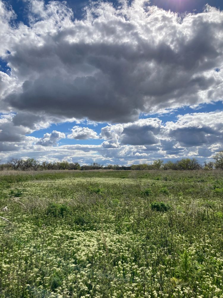 photo of a green river valley under a partly cloudy sky
