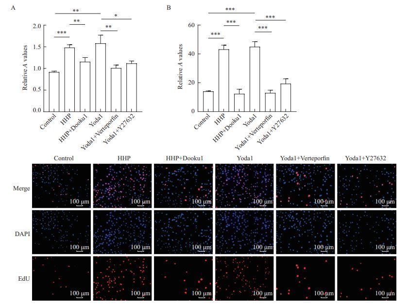 High Hydrostatic Pressure Exacerbates Bladder Fibrosis through Activating Piezo1
