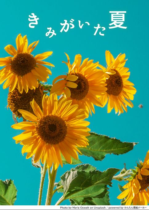 青空を背景にしたノスタルジックなひまわりの写真に白い文字で「きみがいた夏」とタイトルの入った画像。