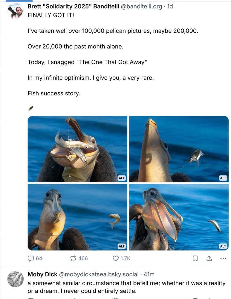 A screenshot of the "The one that got away" post that is followed by a post from Moby Dick that muses about whether "this was all just a dream"