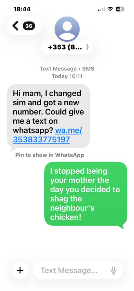  
A scam text I received. 


Today 16:11
Hi mam, I changed sim and got a new number. Could give me a text on
whatsapp wa.me/
353833775197

My reply

I stopped being your mother the day you decided to shag the
neighbour's chicken!
