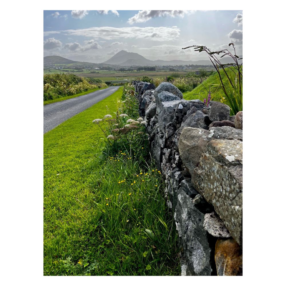 A photograph taken on my walk. 

It is a scenic style photograph. To the left is a stone wall which is typical to the west of Ireland. Wild flowers are growing along side it. On the right is a country road. Stretching out in view are green fields with Croagh Patrick mountain in the distance. The sky is splatted with cloud 