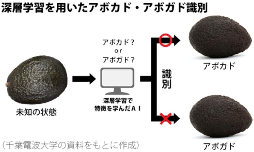 アボカドとアボガド、深層学習で識別　プロ並み精度誇る